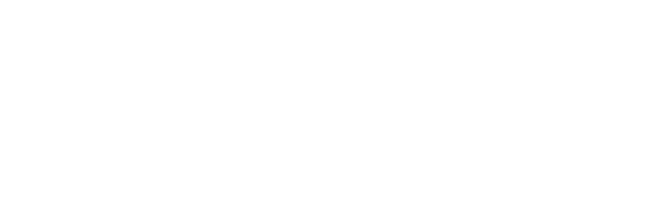 Stone Ridge Apartment Homes Logo